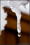 DigitalScape Photography